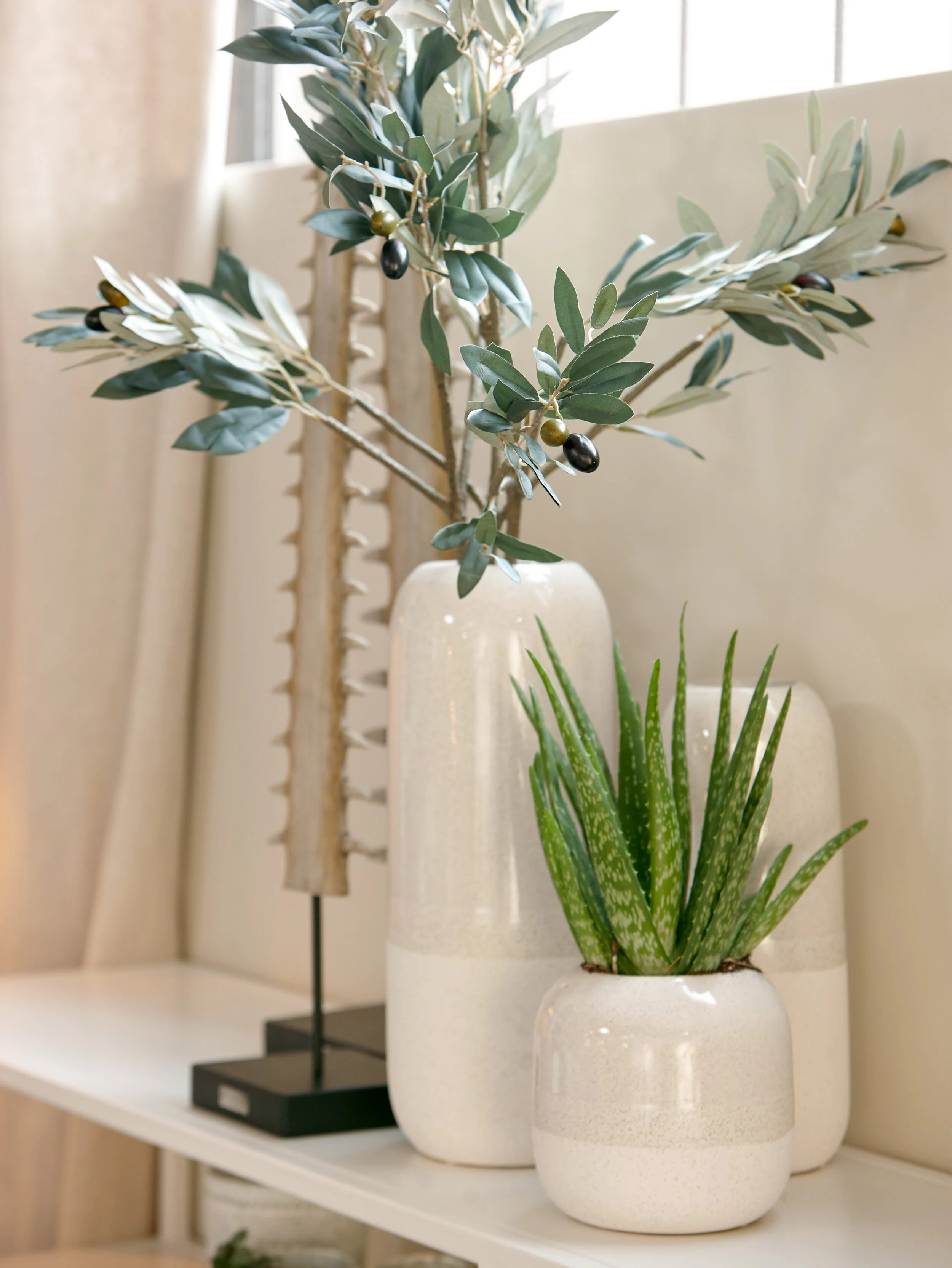chuck Vase backdrop 0111.jpg