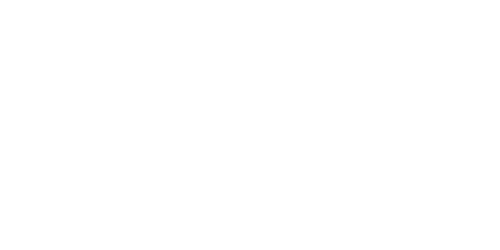 Evolution Cycle Studio