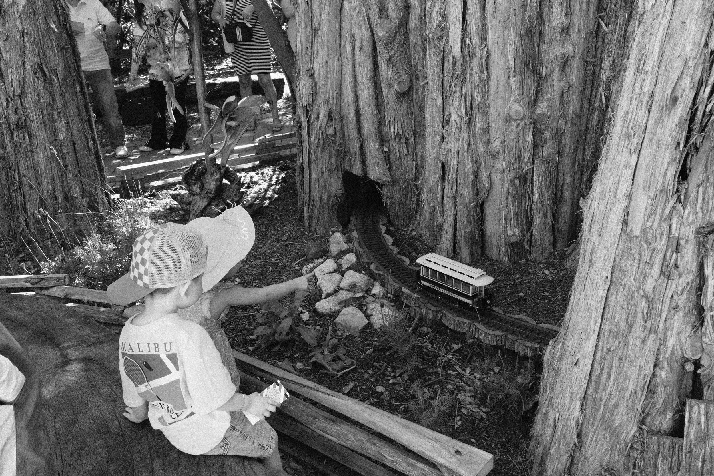 A young boy with a hat and a backpack is reaching out towards a miniature train on a track in a wooded area. There are two adults and another child in the background, all near a bench, with large trees around them.