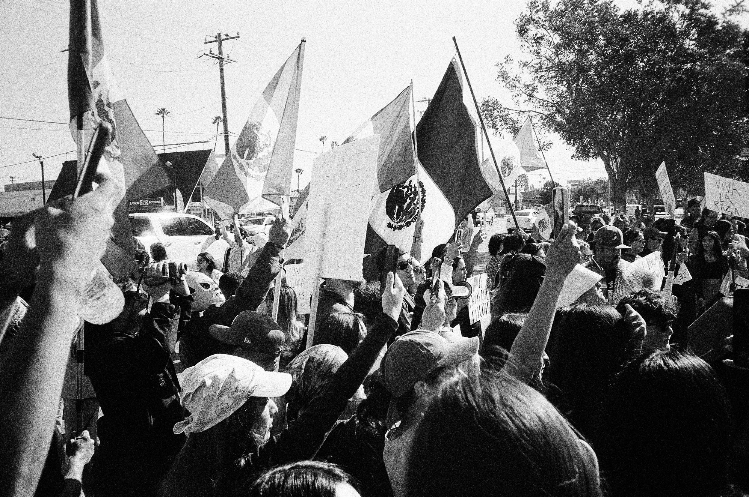 A black and white photo of a crowd of people waving flags at a protest or rally. Some flags have the Mexican emblem, and people are holding signs.