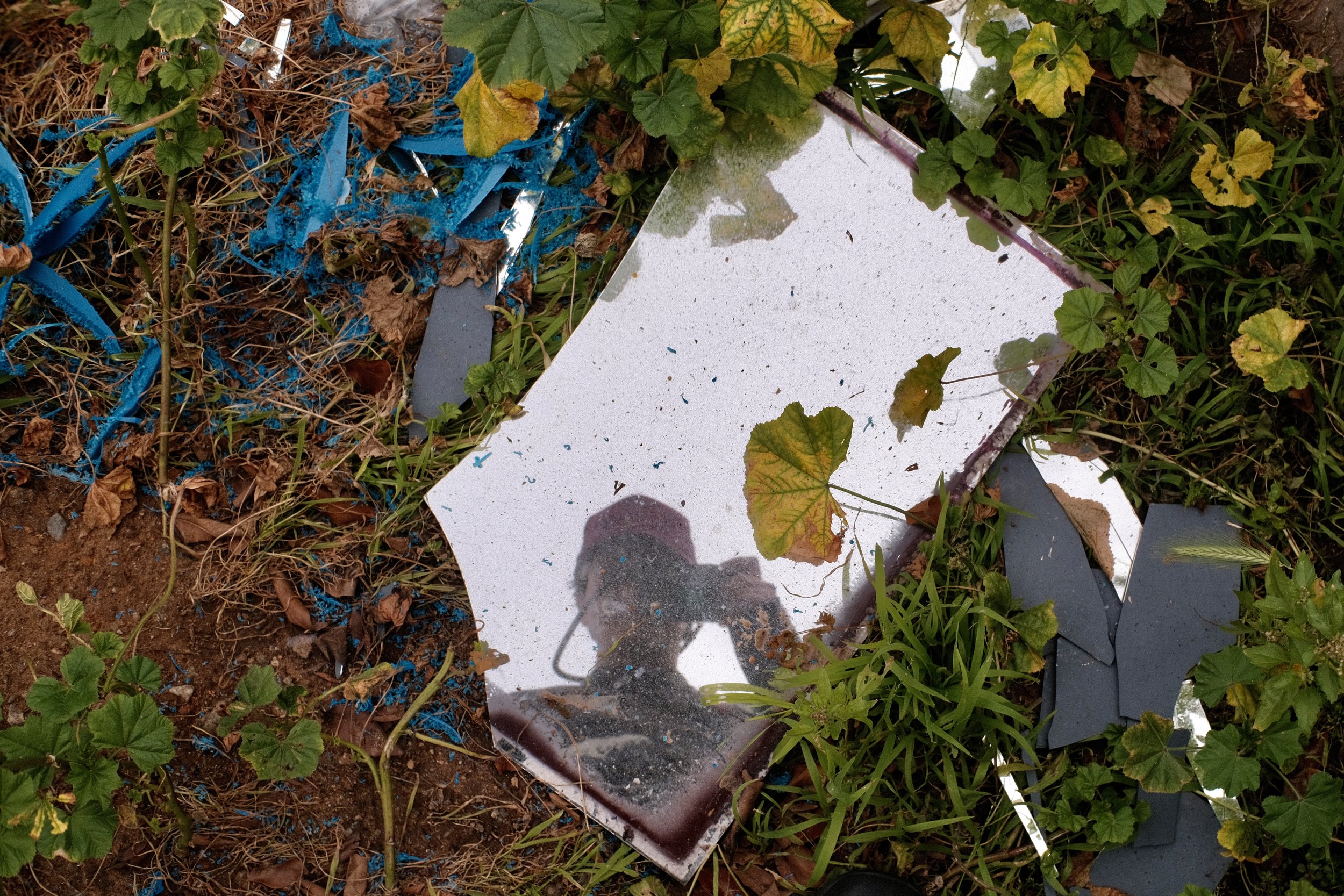 A broken mirror lying in soil surrounded by green plants and leaves, reflecting some of the foliage and the person taking the photo.