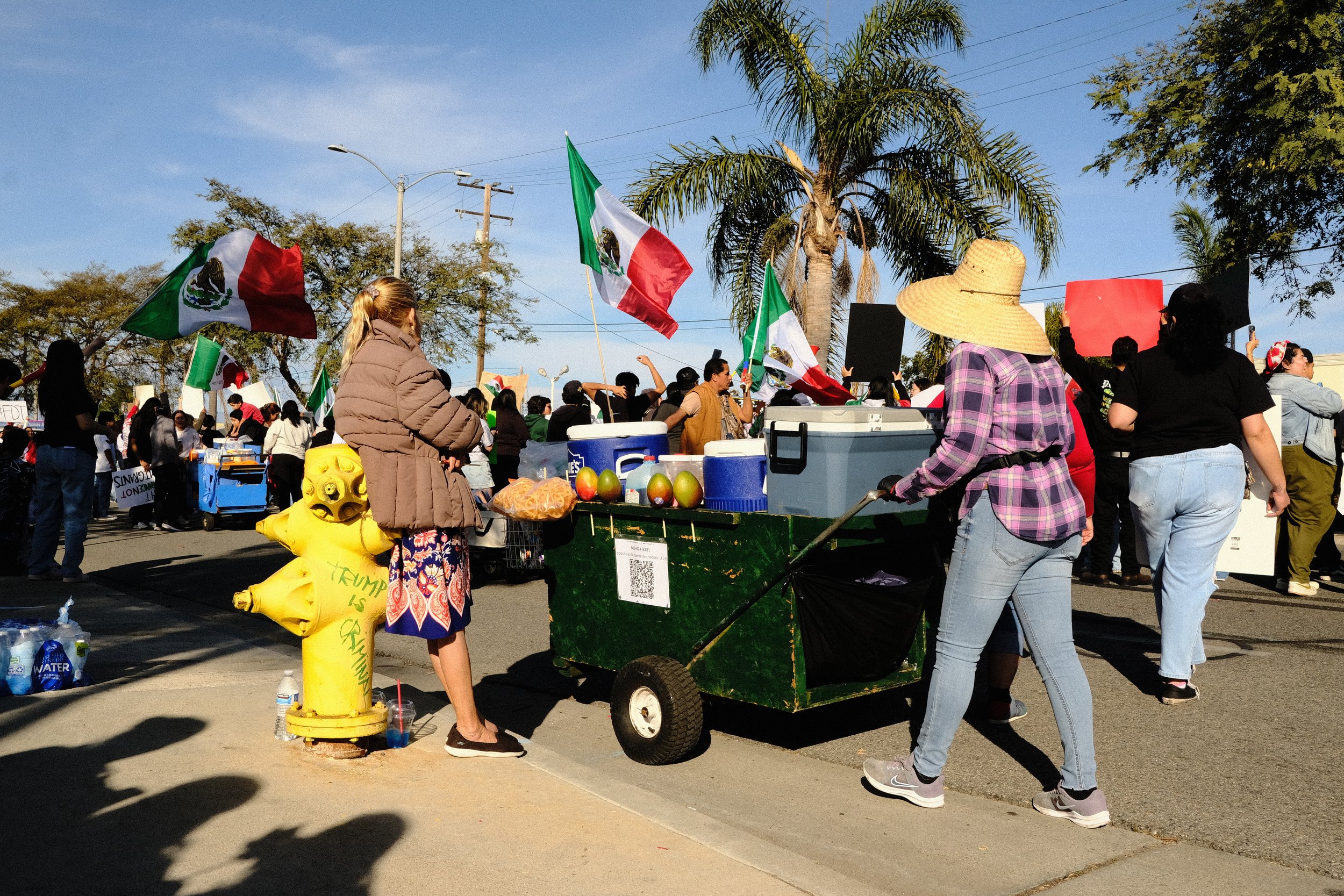 A group of people gathered outdoors, holding Mexican flags during a protest or celebration on a sunny day. There are palm trees, power lines, and a blue sky in the background. Some individuals are wearing hats and casual clothing, with various items 