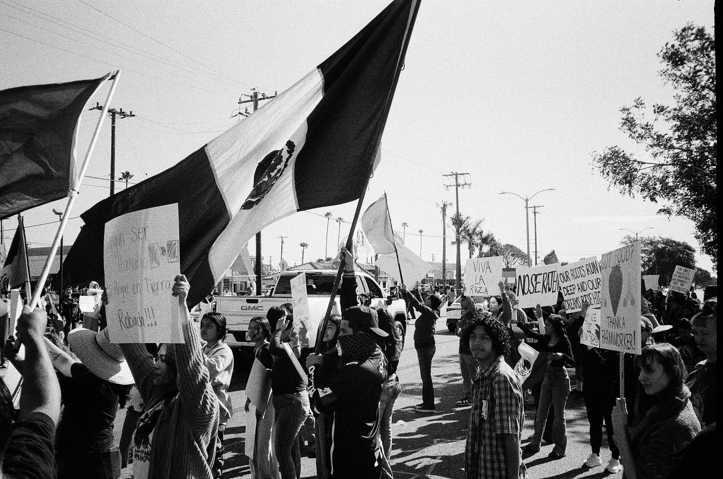 A crowd of protesters holding signs and flags during a demonstration on a city street, with utility poles and trees in the background.