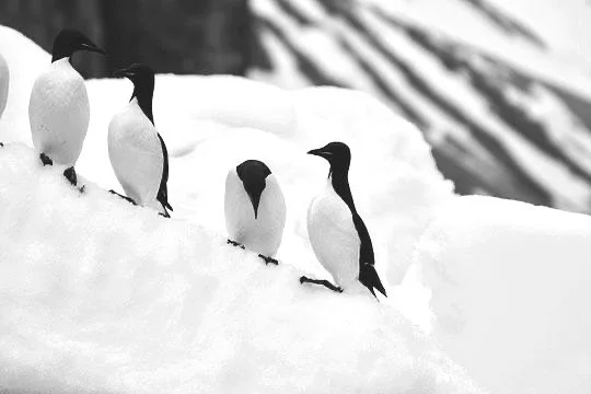 Being Your Own Hero: Trust