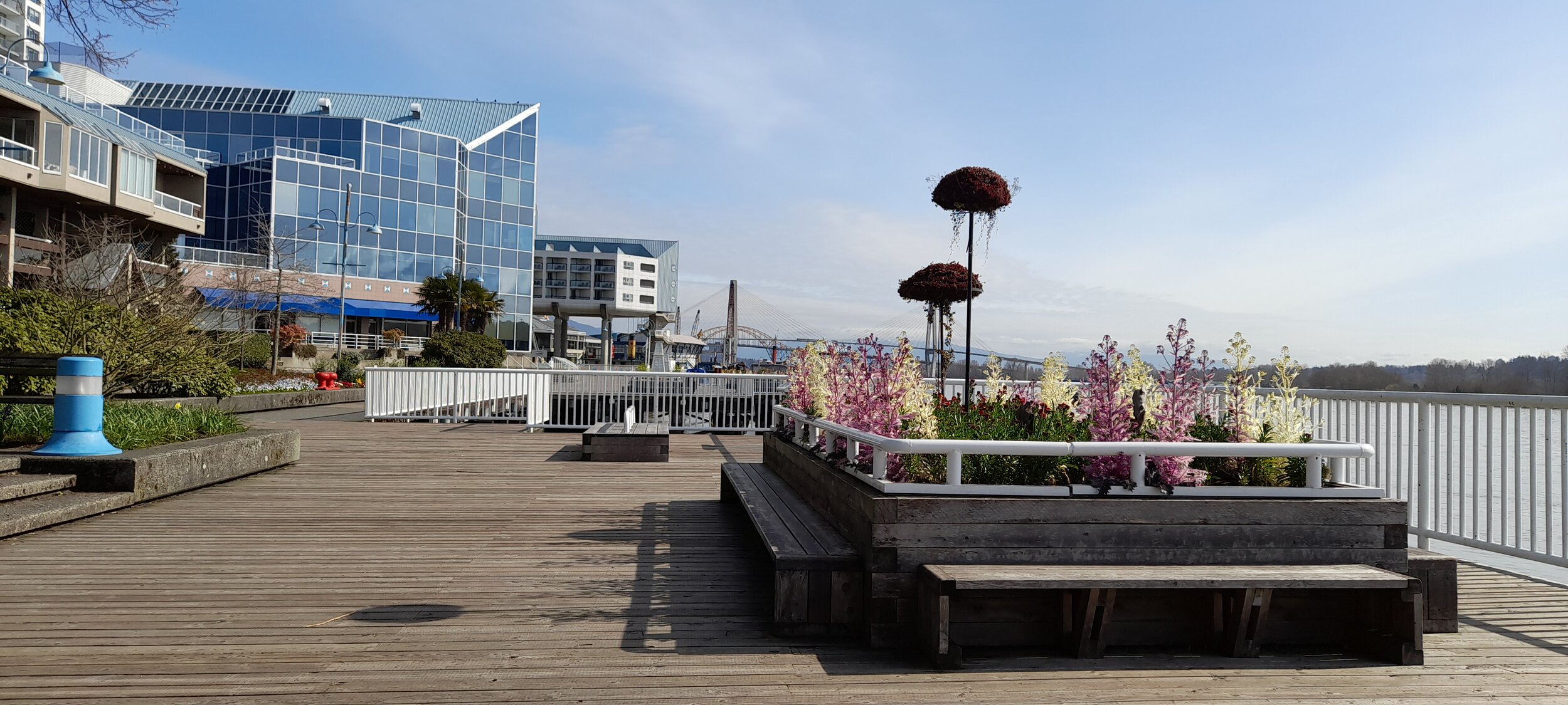 Boardwalk and flower beds