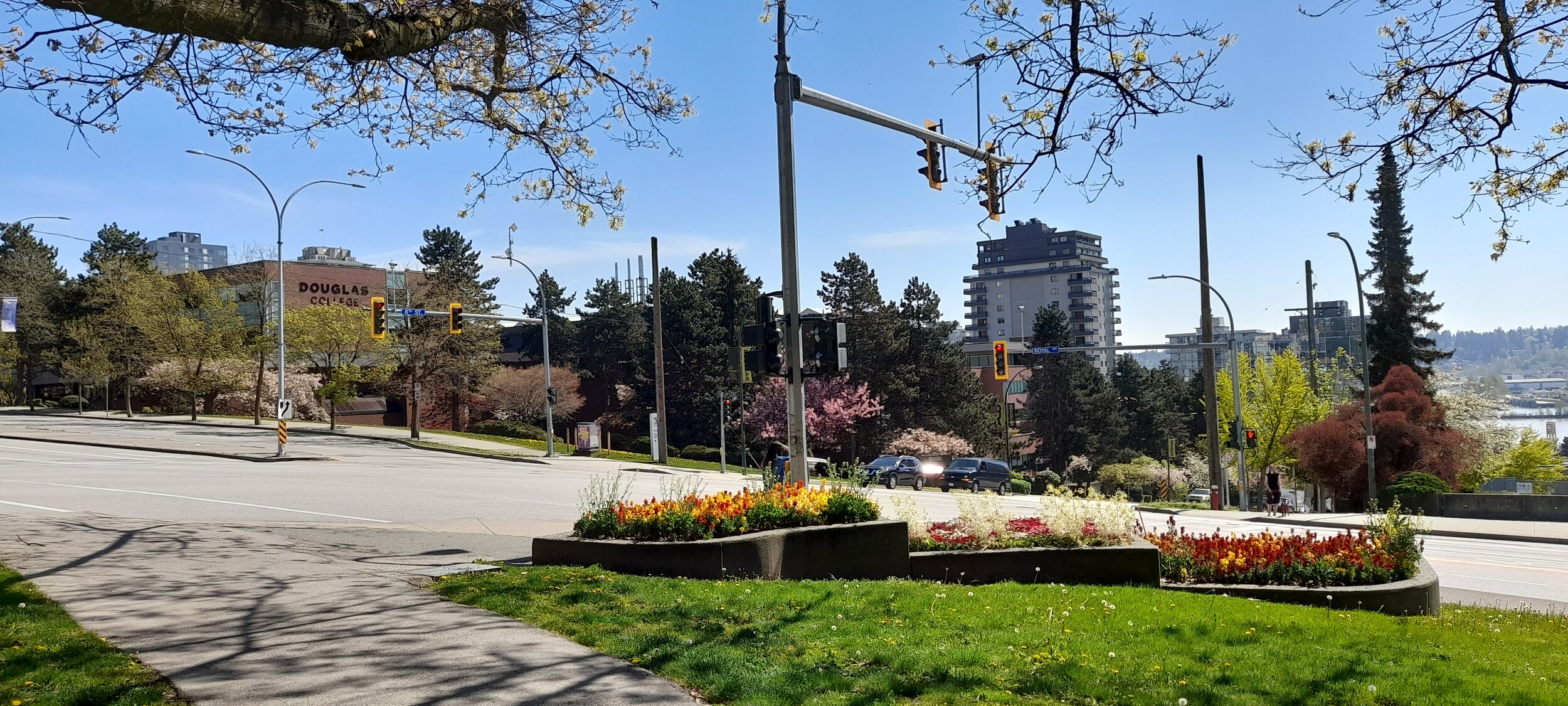 Simcoe Park and intersection