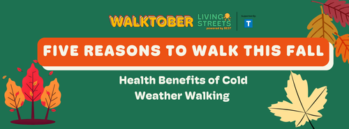 5 Reasons to Start Walking this Fall: Build Healthier Habits and ...