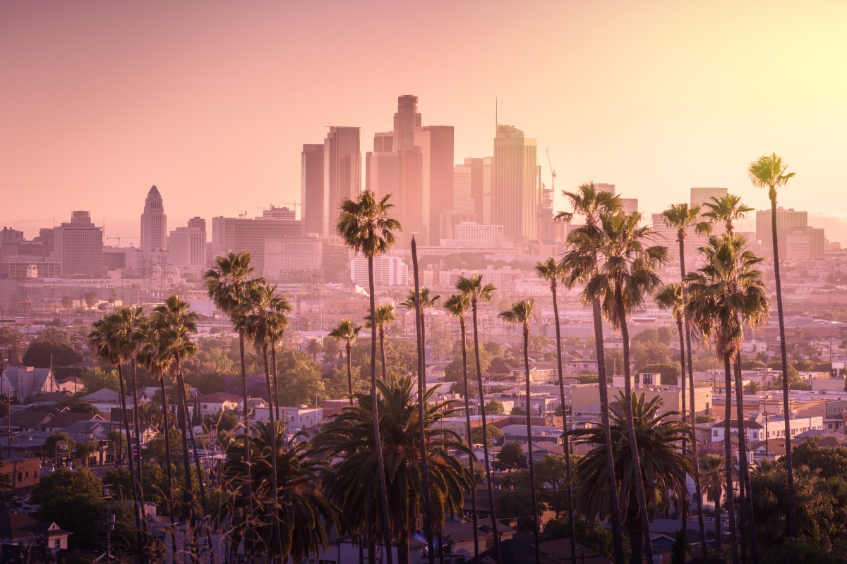 LosAngeles_with_palms_Adobe.jpg