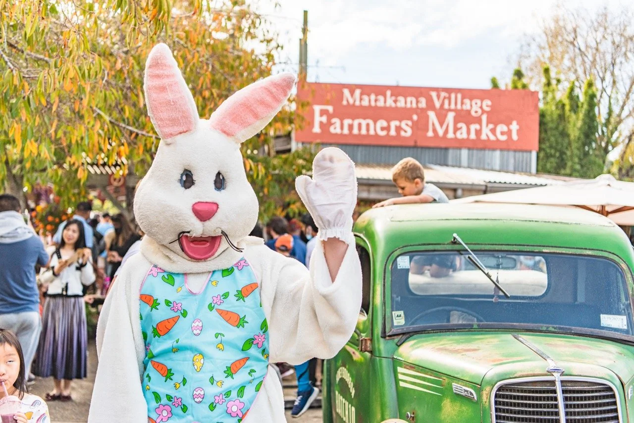 Meet the Easter Bunny!