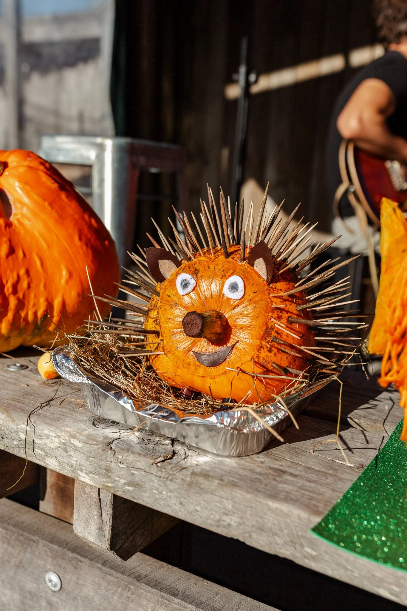 Matakana Grand Pumpkin Competition 2026-3.jpg