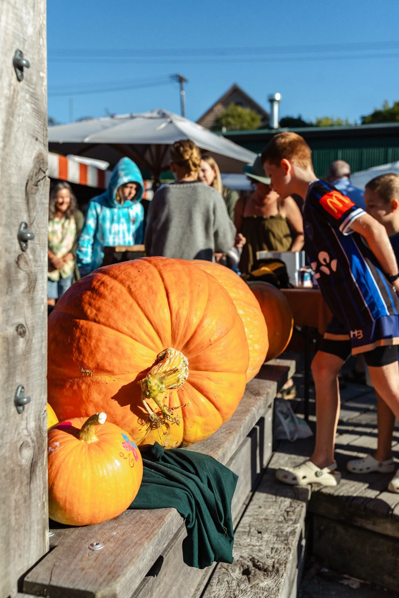Matakana Grand Pumpkin Competition 2026-9.jpg