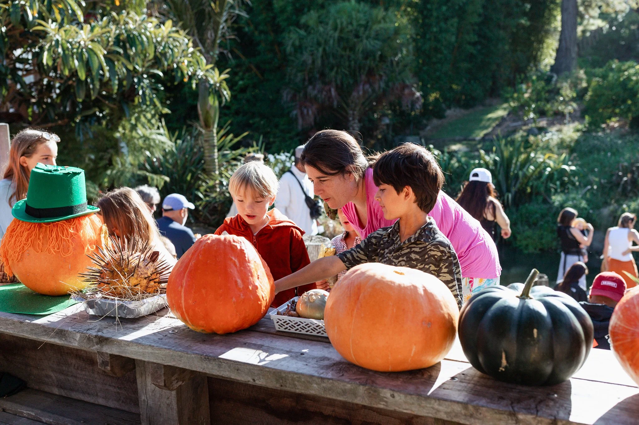 Matakana Grand Pumpkin Competition 2026-31.jpg