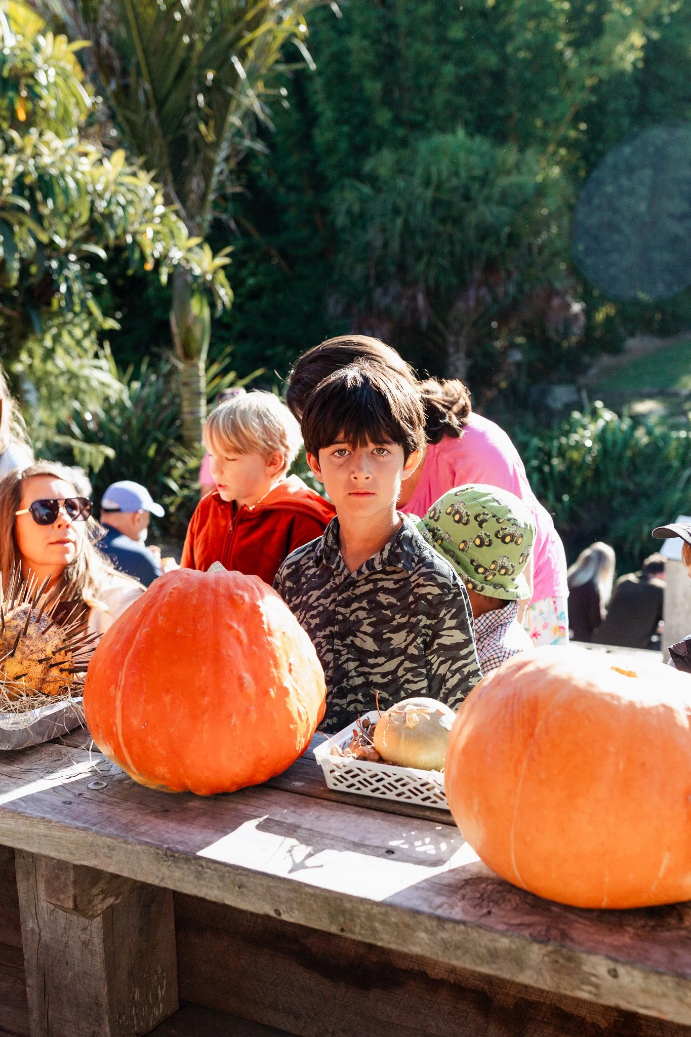 Matakana Grand Pumpkin Competition 2026-32.jpg
