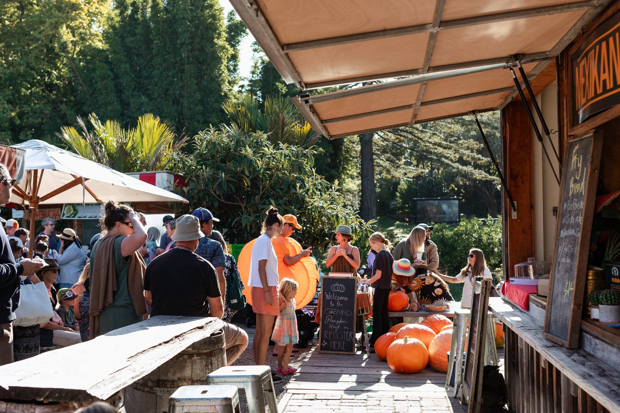 Matakana Grand Pumpkin Competition 2026-33.jpg
