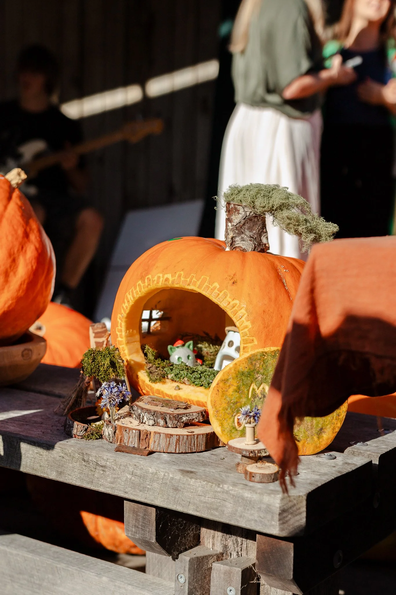 Matakana Grand Pumpkin Competition 2026-39.jpg