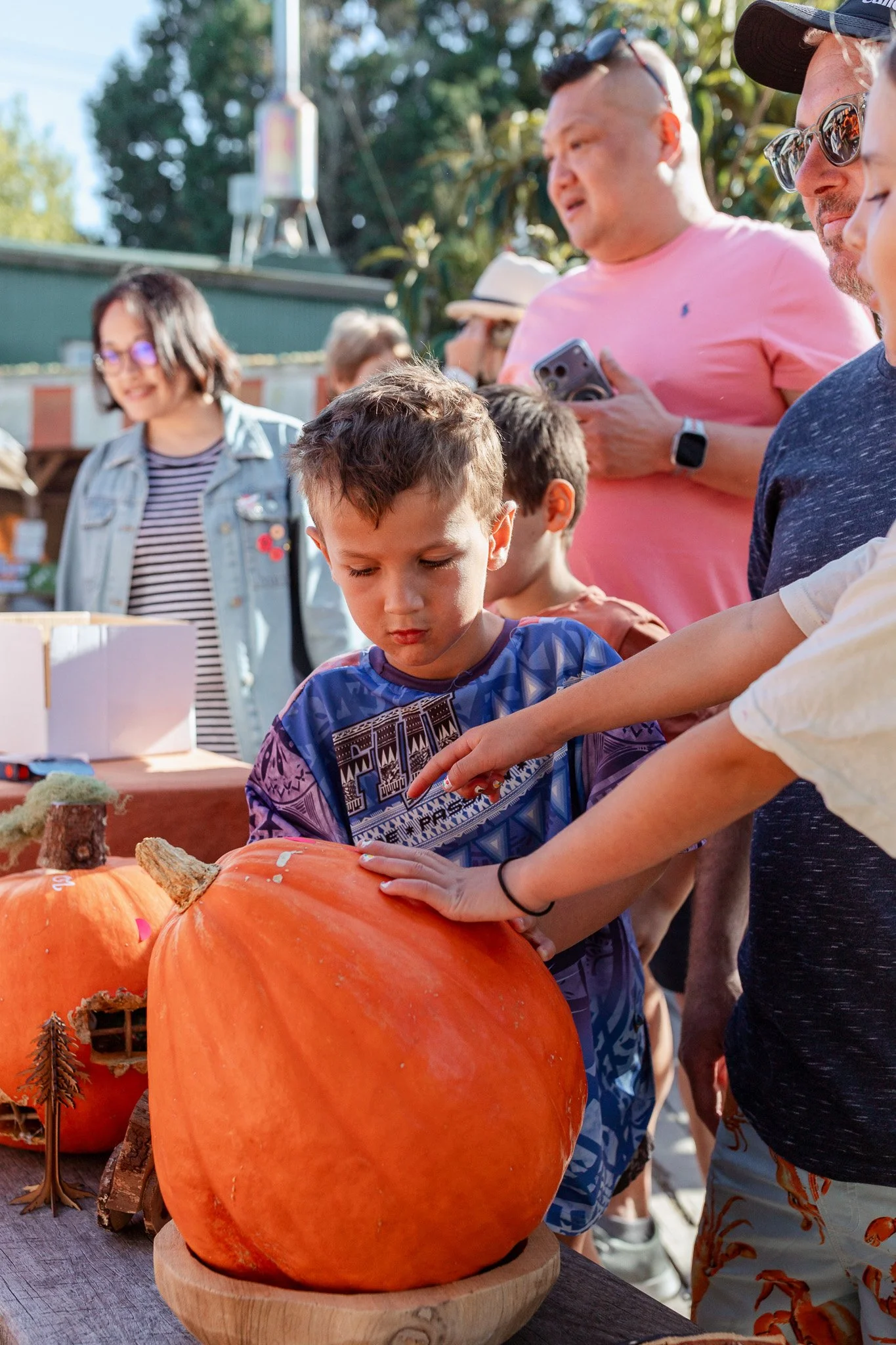 Matakana Grand Pumpkin Competition 2026-47.jpg