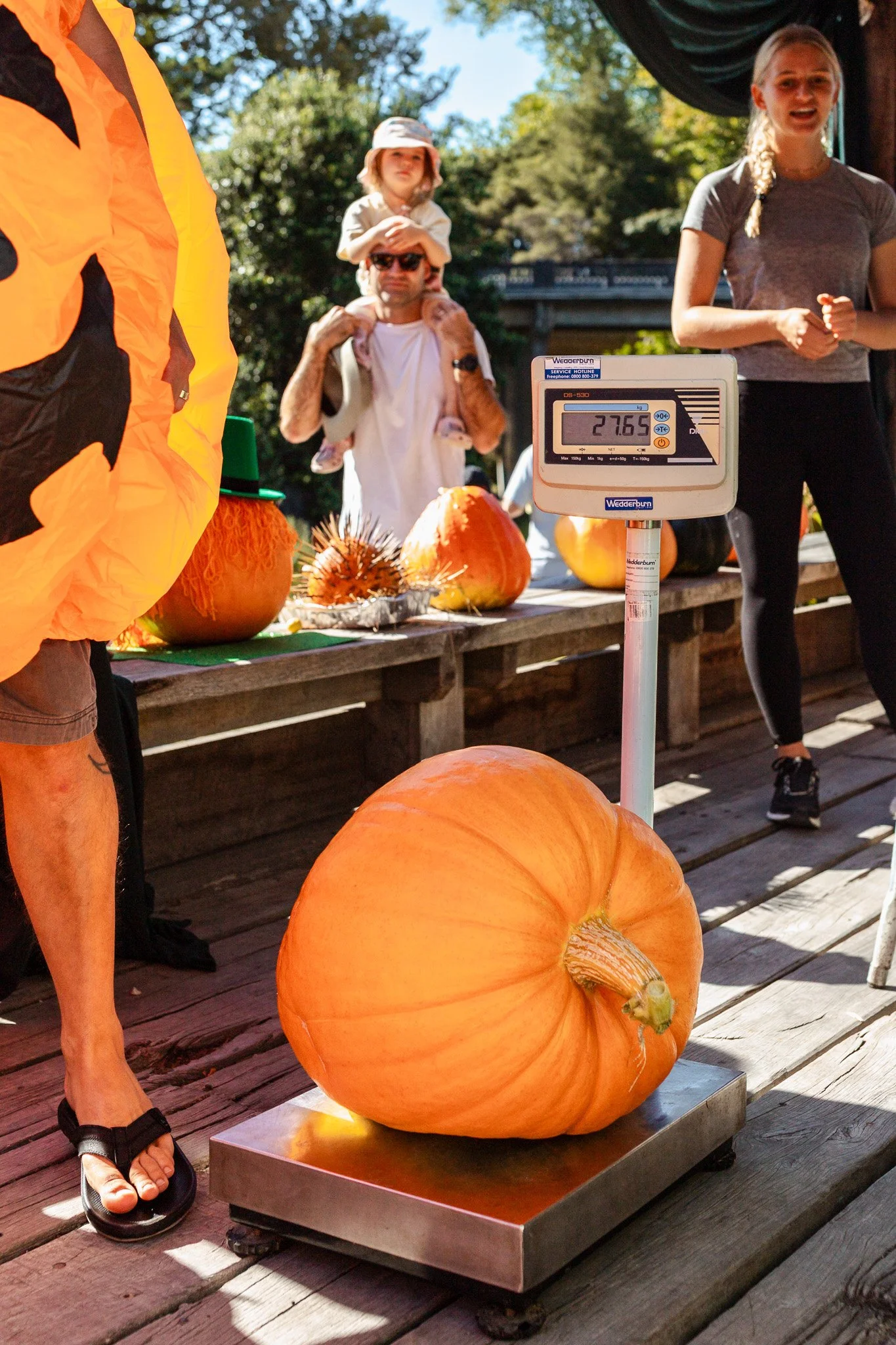 Matakana Grand Pumpkin Competition 2026-104.jpg