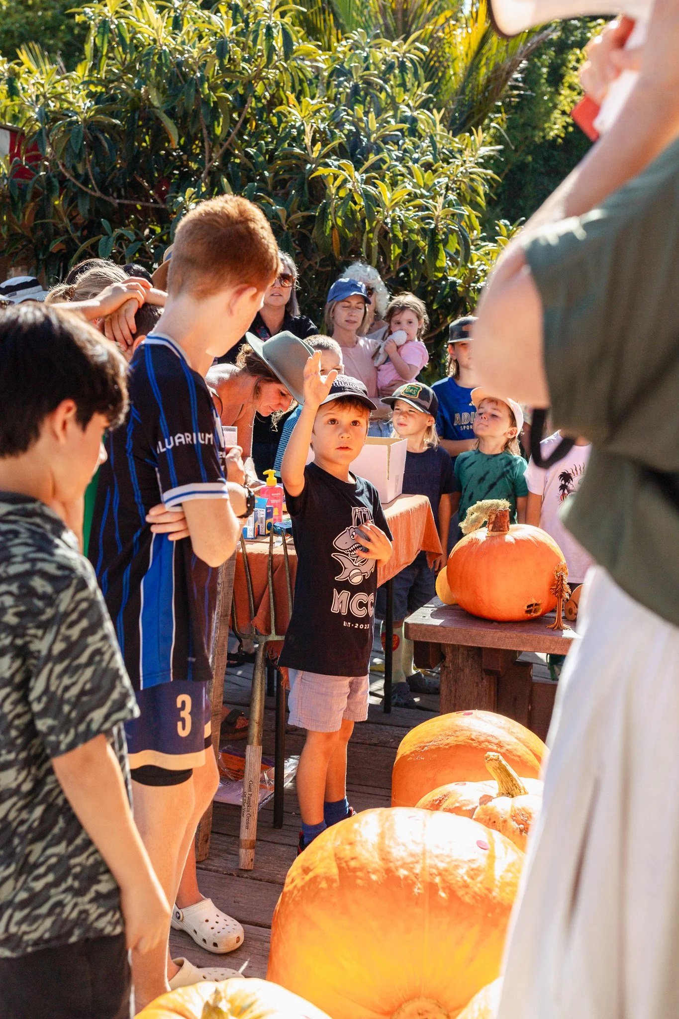 Matakana Grand Pumpkin Competition 2026-105.jpg