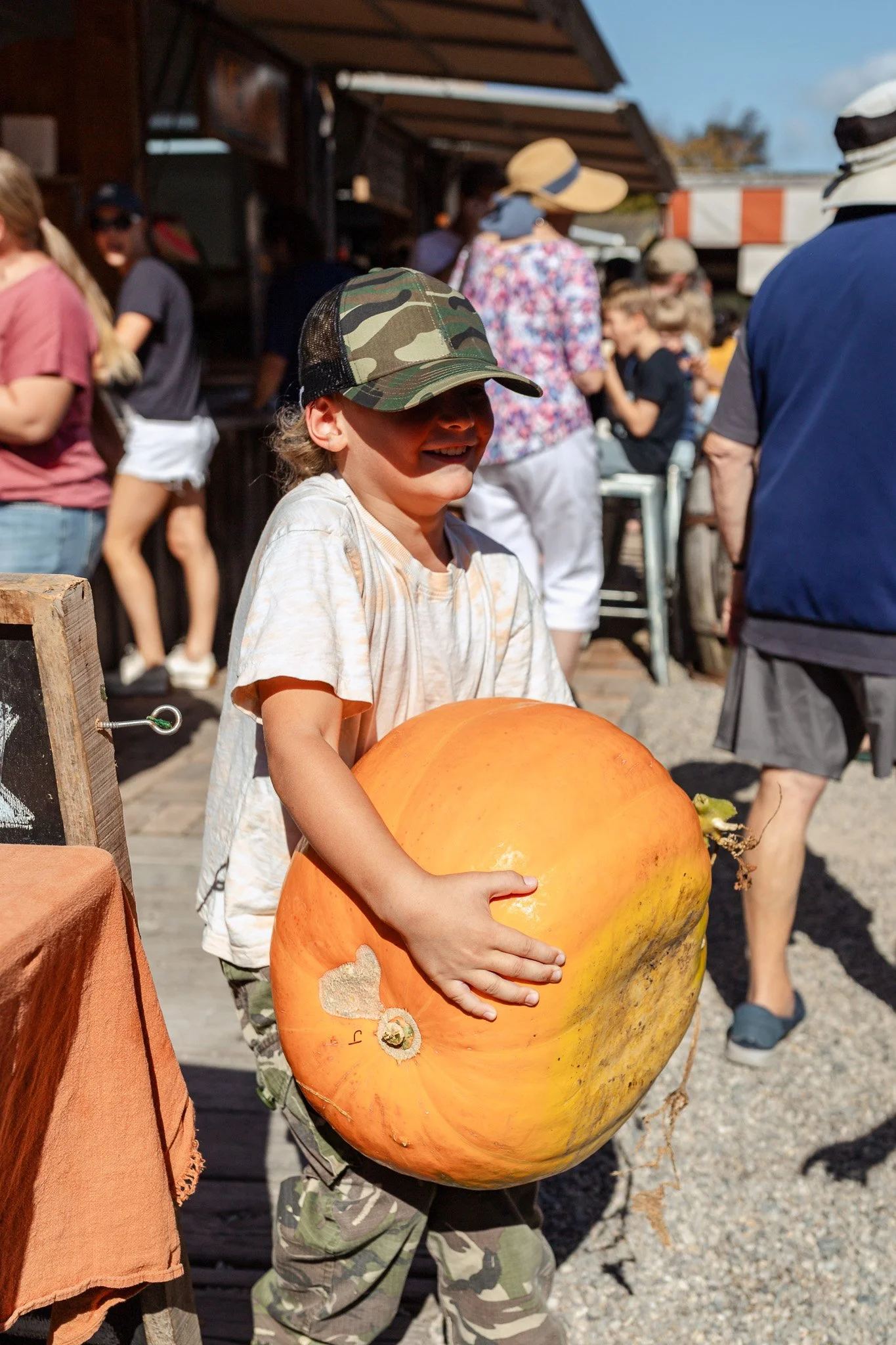 Matakana Grand Pumpkin Competition 2026-149.jpg