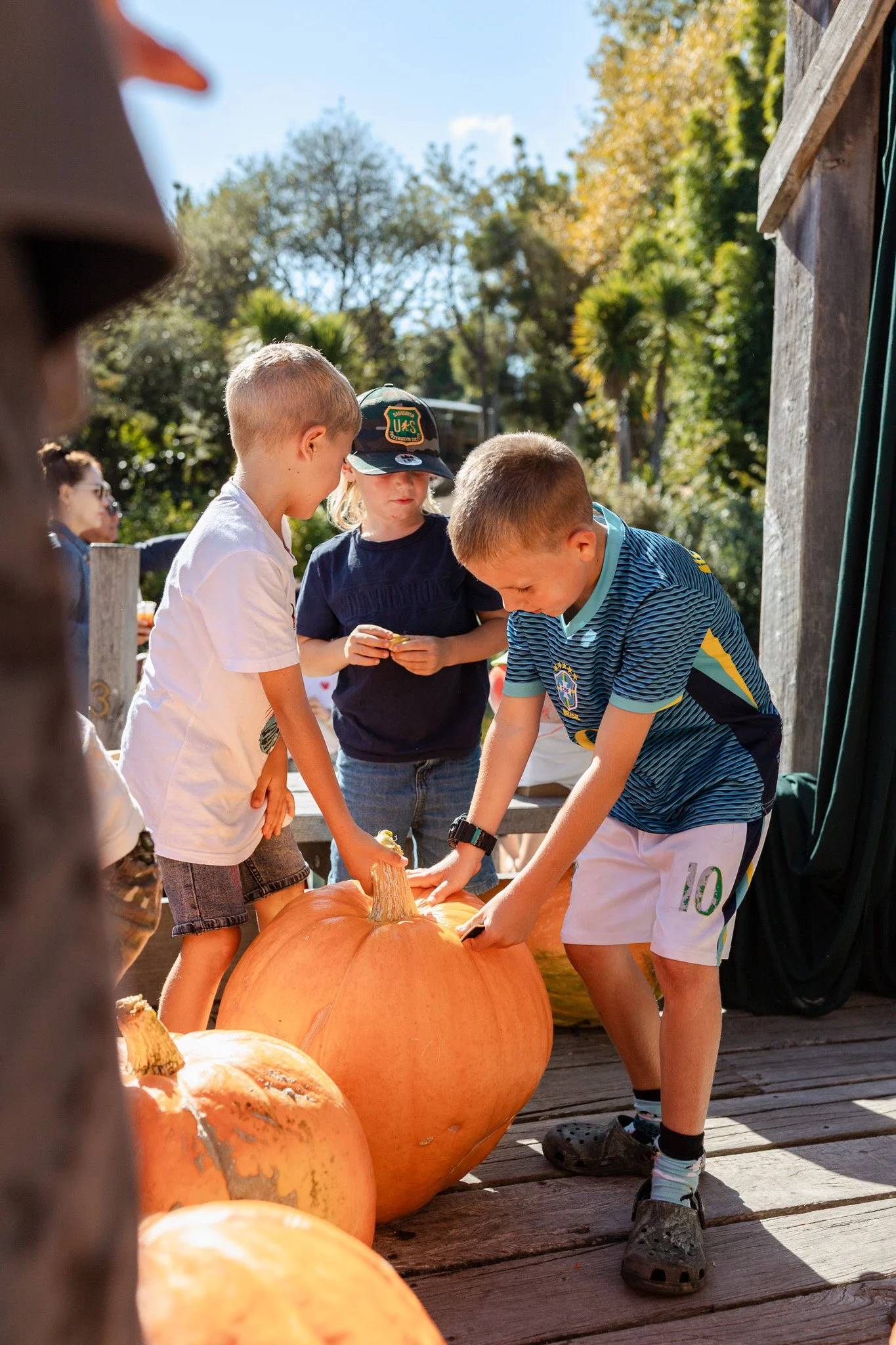Matakana Grand Pumpkin Competition 2026-151.jpg