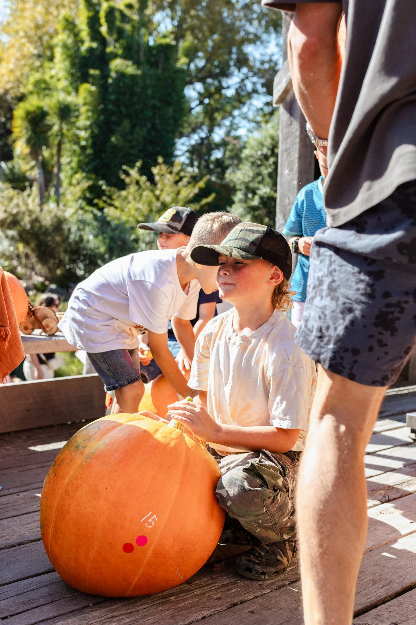 Matakana Grand Pumpkin Competition 2026-152.jpg