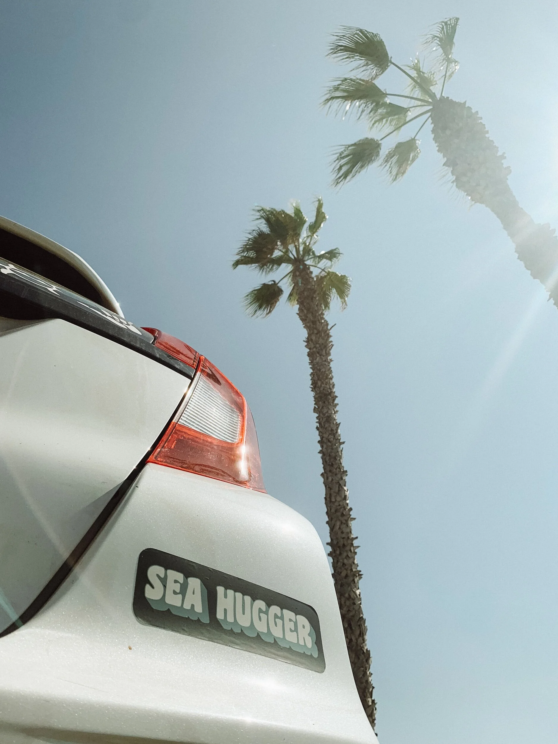 A car displaying a "Sea Hugger" bumper sticker, promoting ocean conservation and environmental awareness.