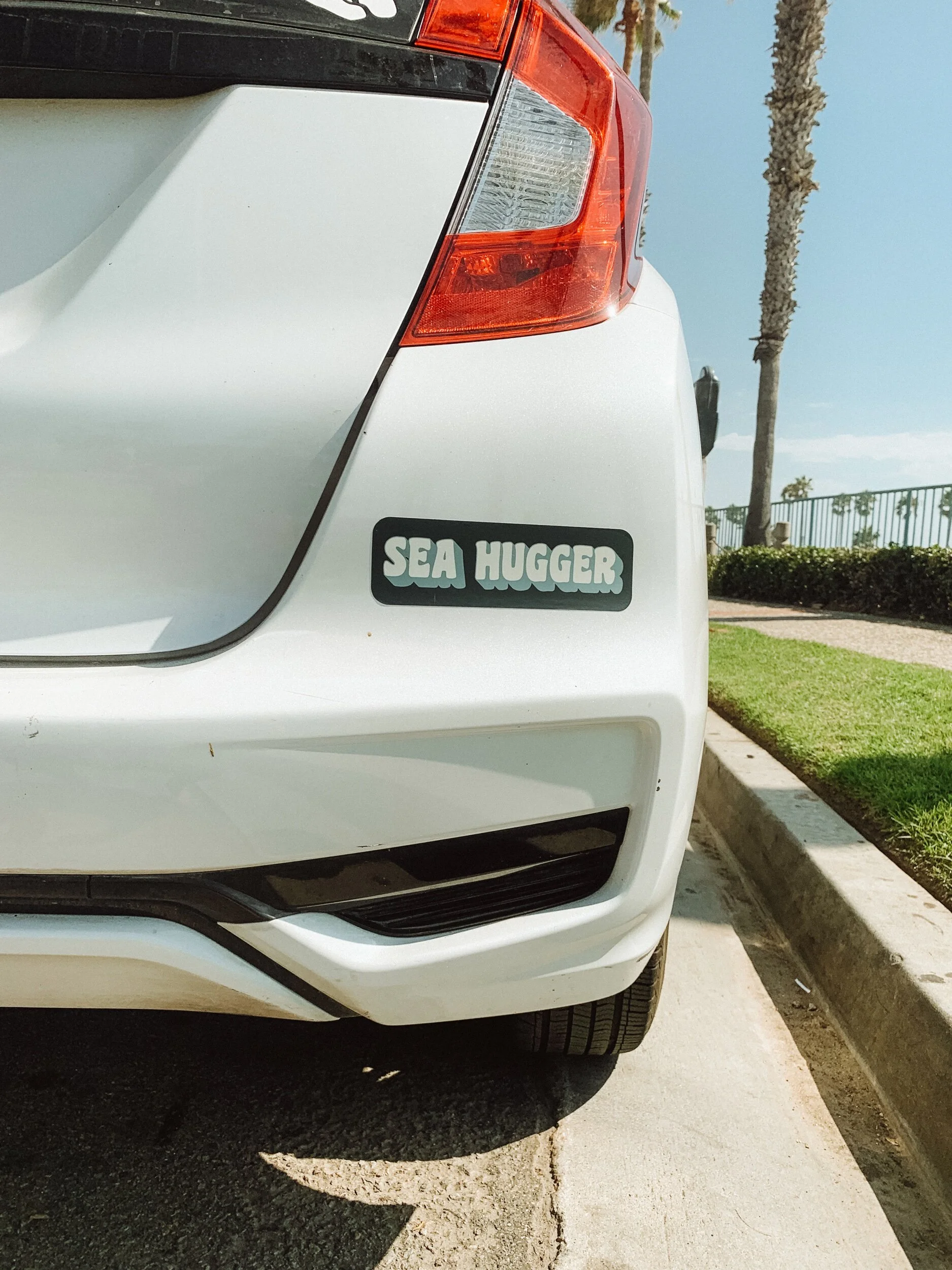 A white car featuring a bumper sticker that reads "Sea Hugger," promoting ocean conservation and awareness.