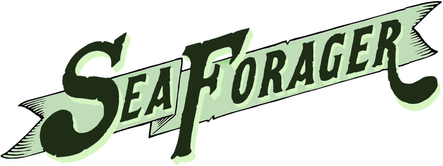 sf+title.webp