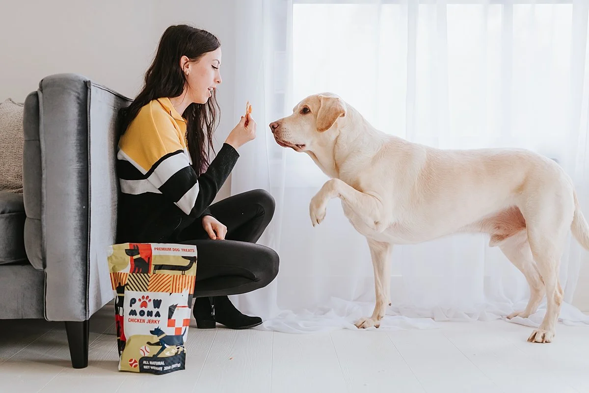atlanta-pet-product-photographer_0015.jpg
