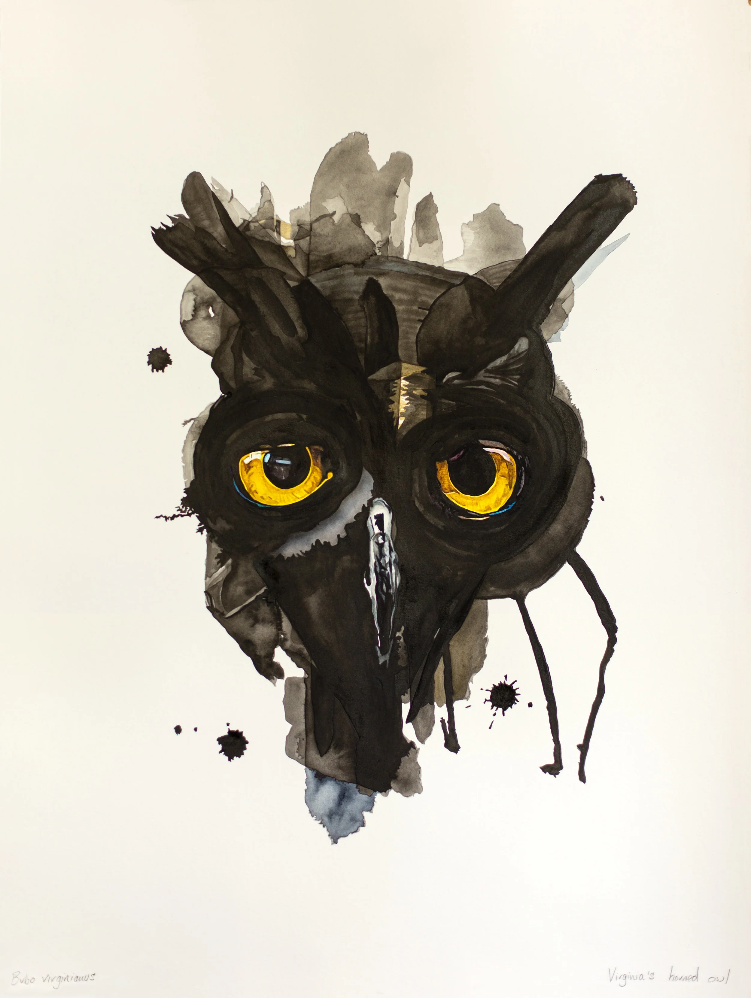 FamiliarGreatHornedOwl.jpg