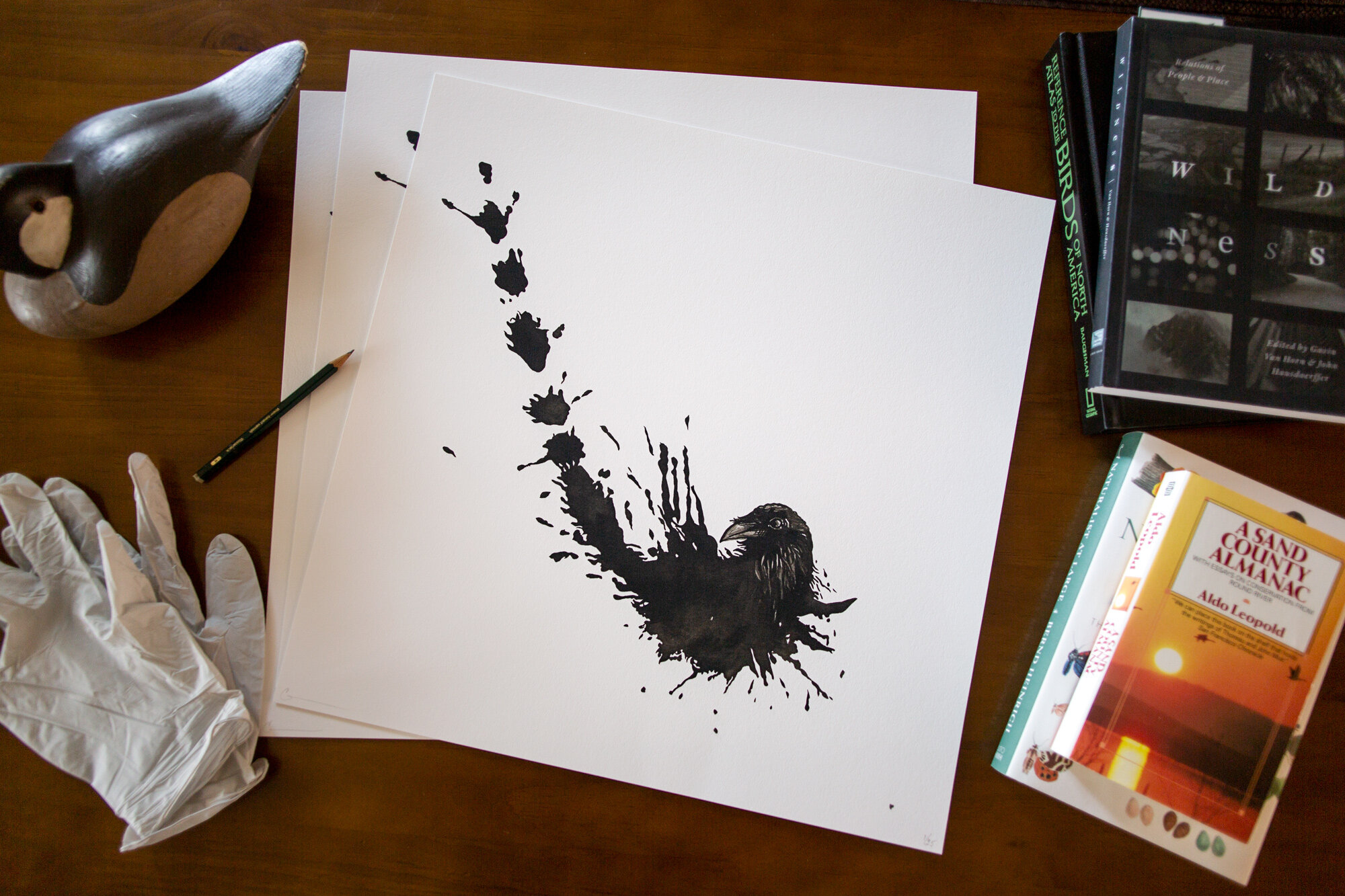 FB_Anima-AnimusCorvusCorax_PrintEdition_Promo.jpg