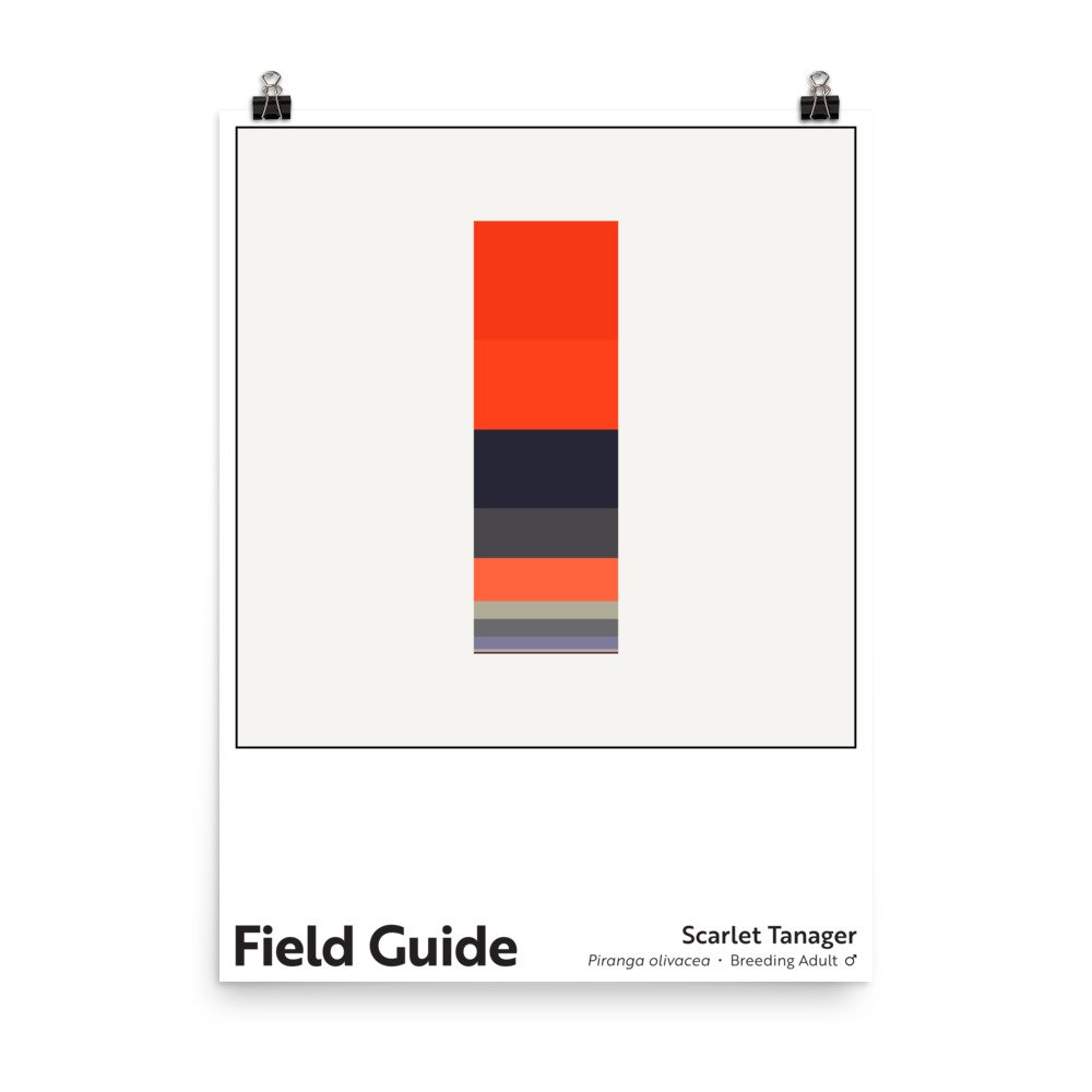 enhanced-matte-paper-poster-(in)-18x24-transparent-6328a17ff2ce4.jpg