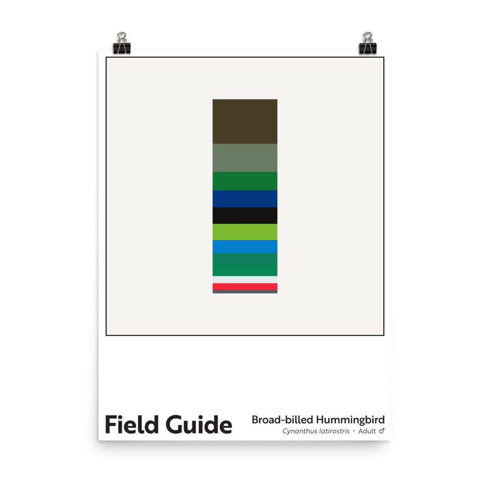 enhanced-matte-paper-poster-(in)-18x24-transparent-6461b94ac2774.jpg