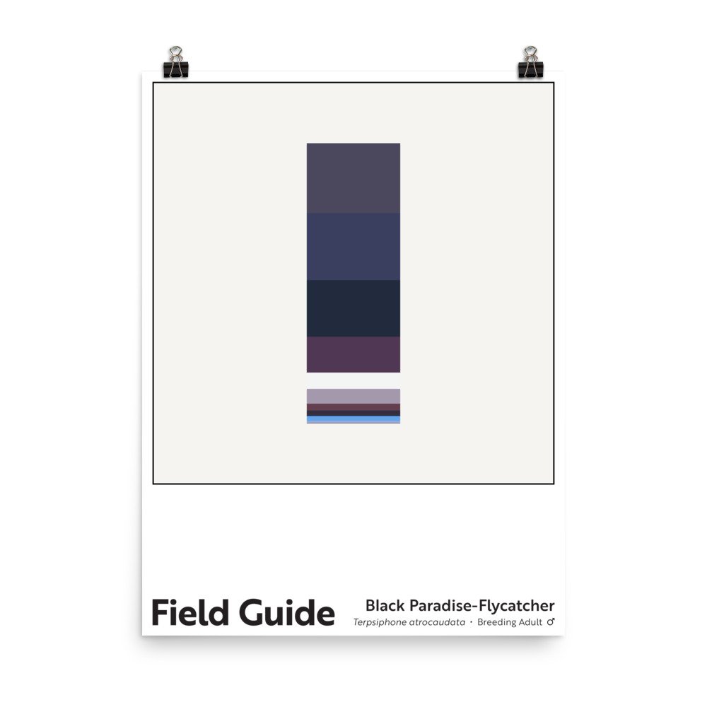 enhanced-matte-paper-poster-(in)-18x24-transparent-664b152cb8e9f.jpg