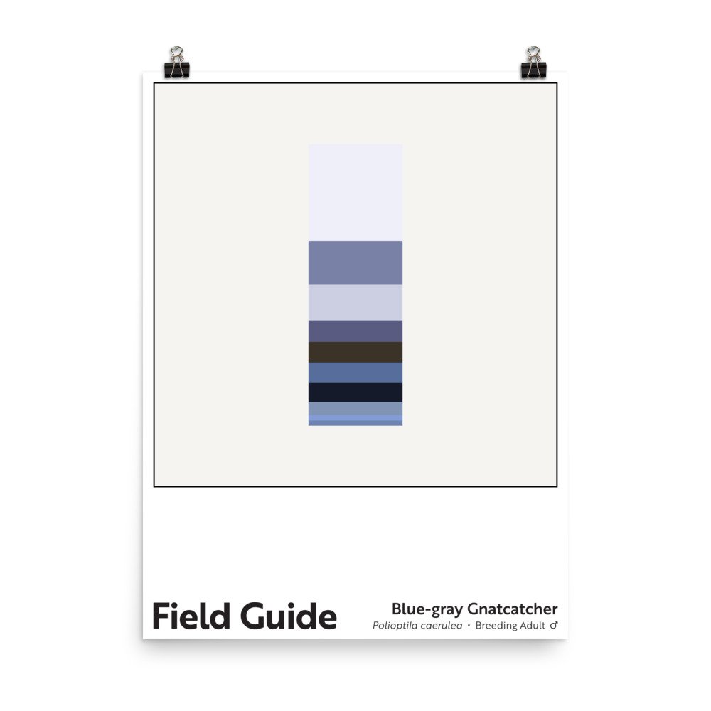 enhanced-matte-paper-poster-(in)-18x24-transparent-6660dbcc11906.jpg