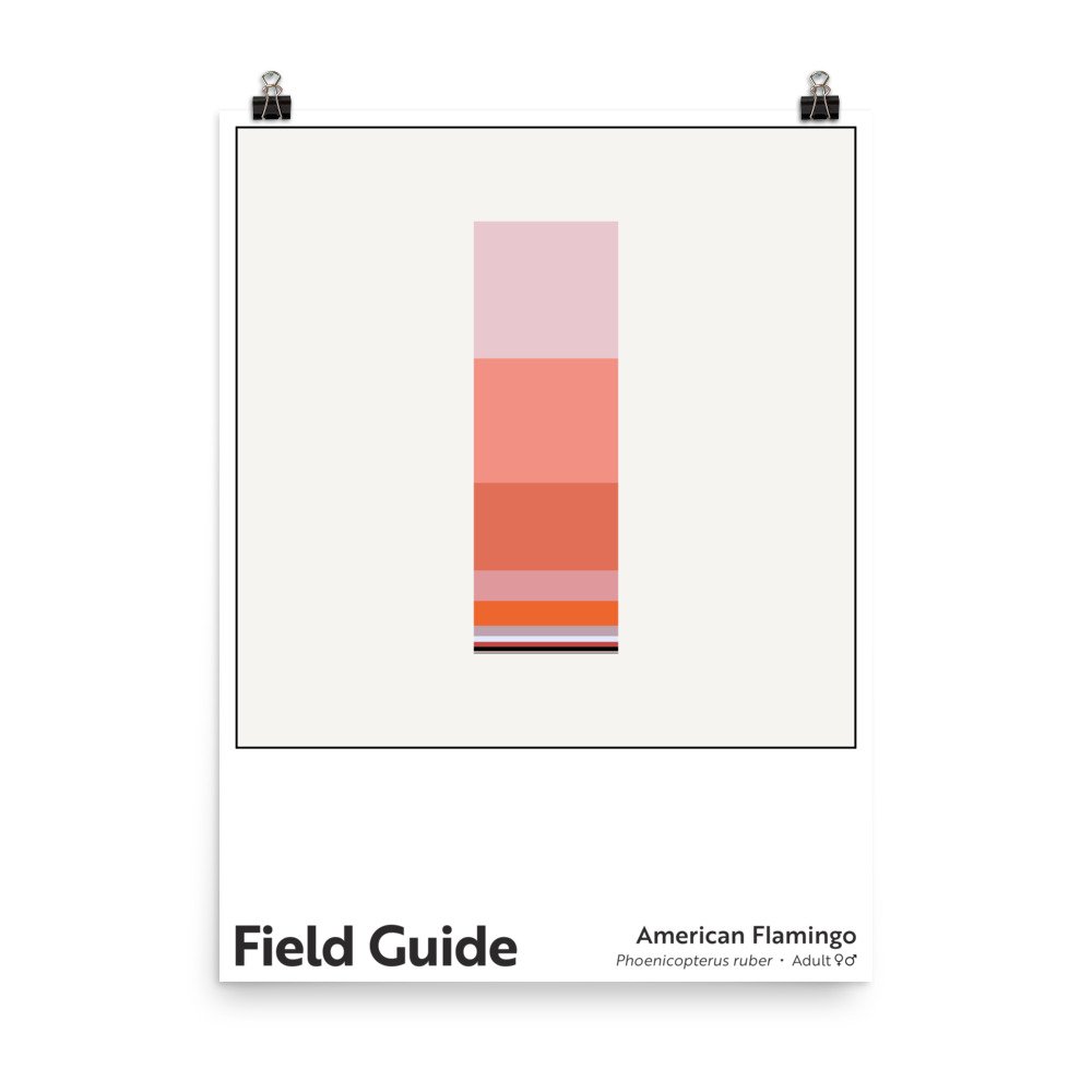 enhanced-matte-paper-poster-(in)-18x24-transparent-6679bcc951d1b.jpg