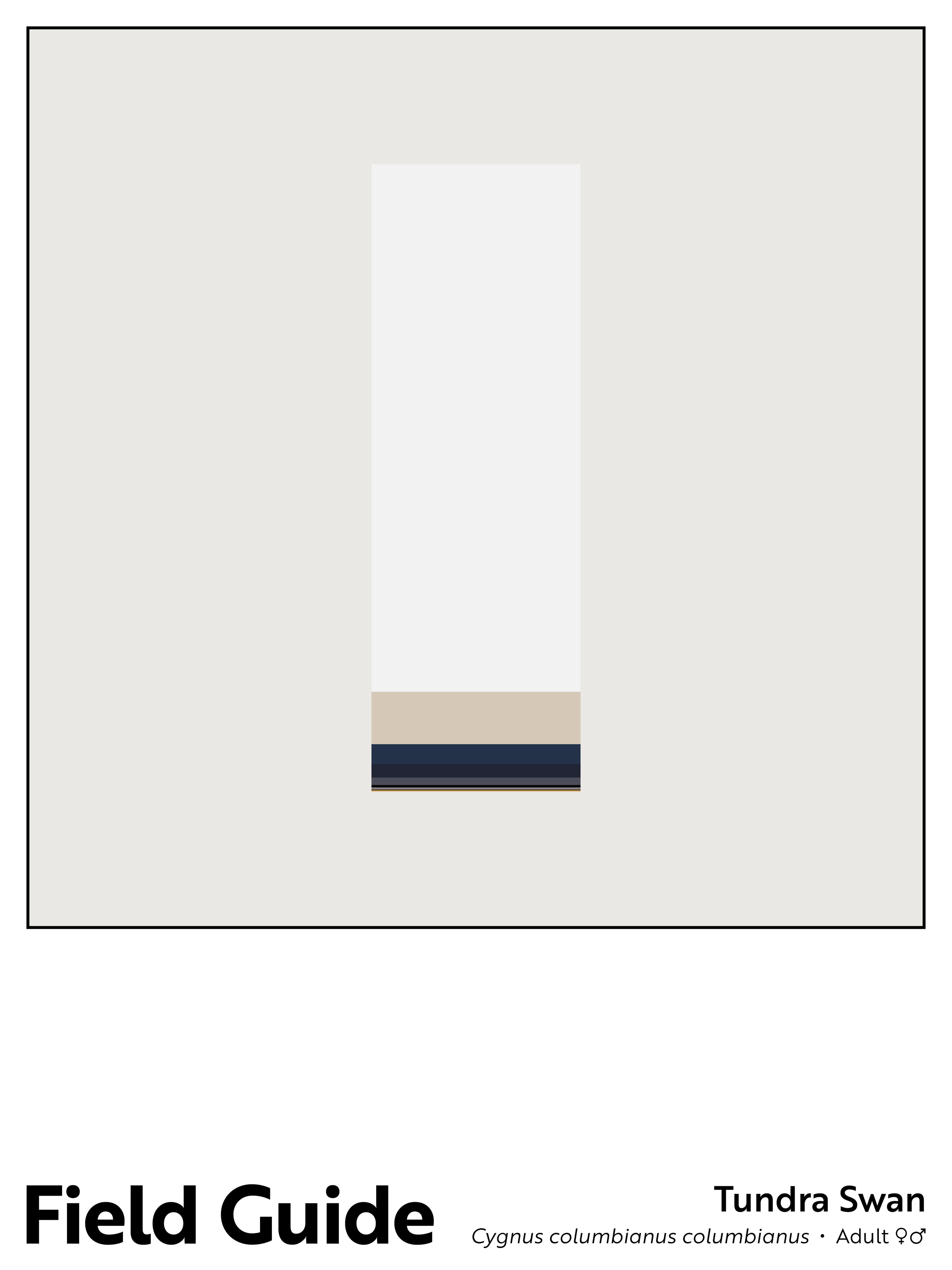 FieldGuide_TS.png