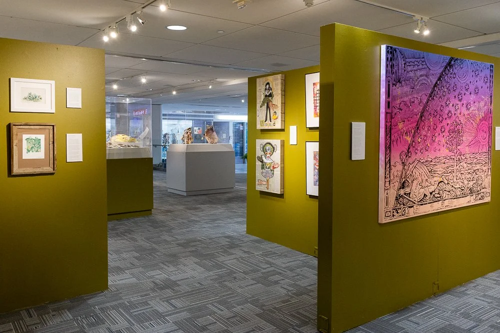 "Field Guide" Exhibition @ STL