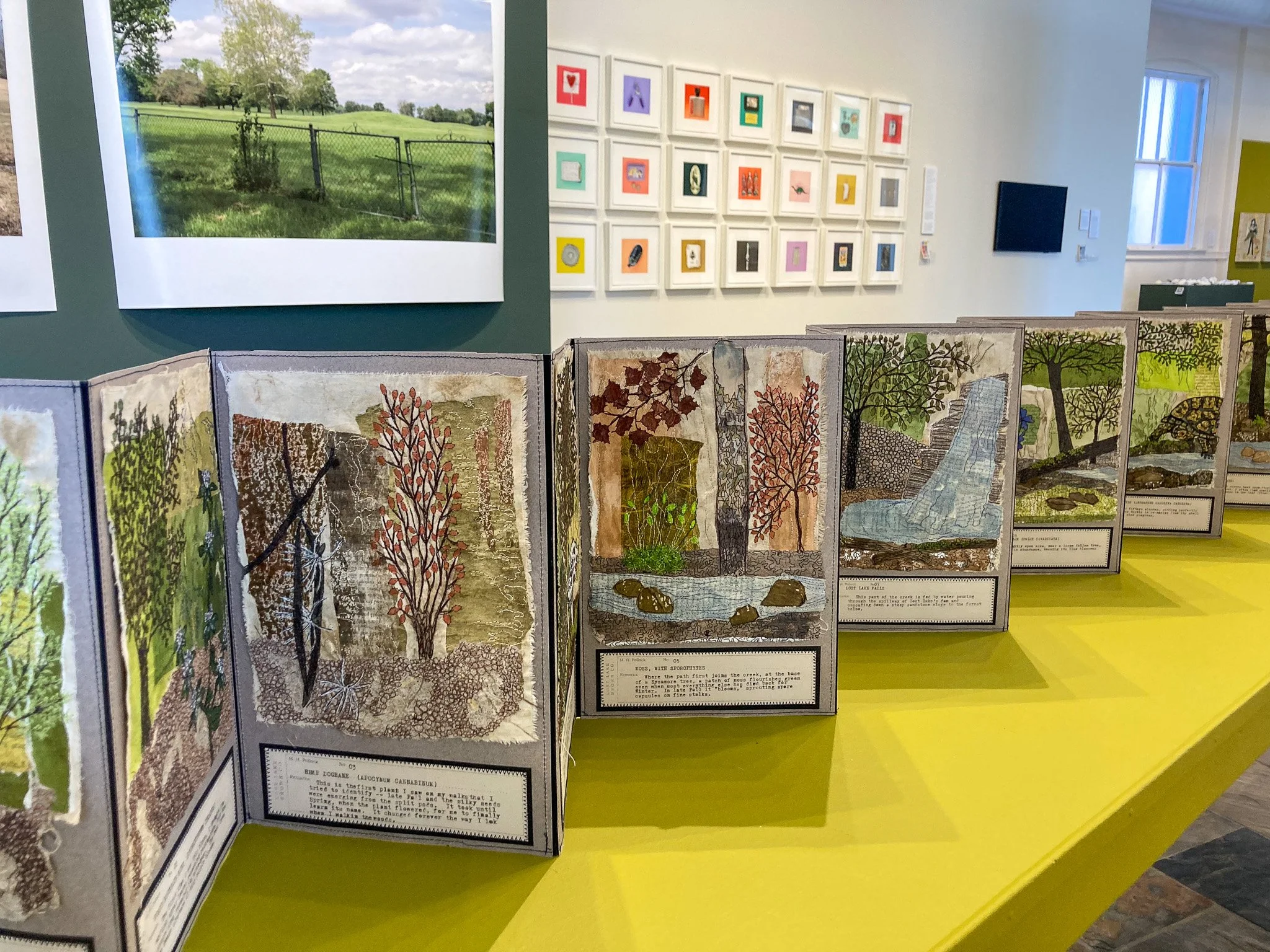 "Field Guide," Intersect Arts Center