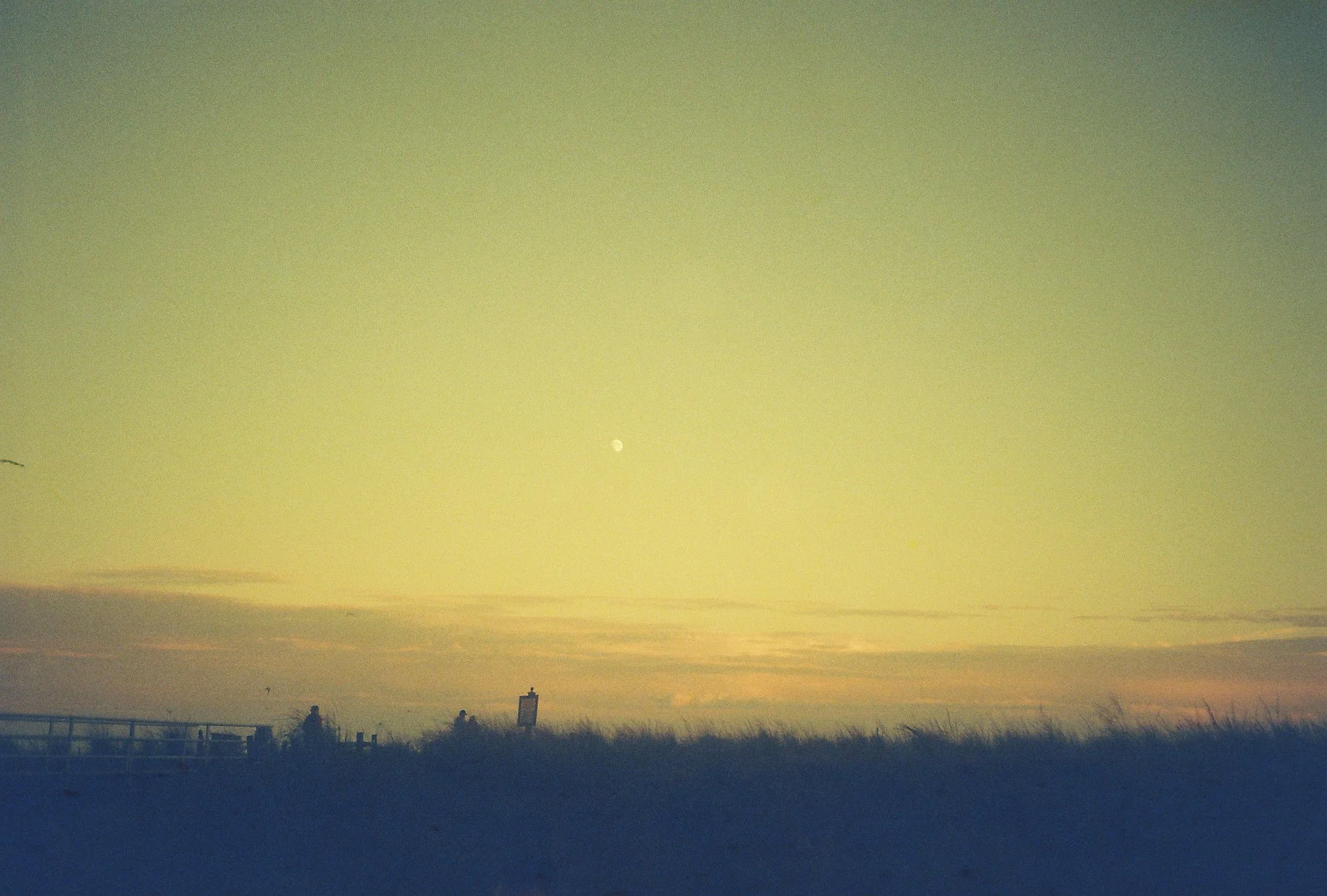 7572edmund001430-R1-034-15A.jpeg