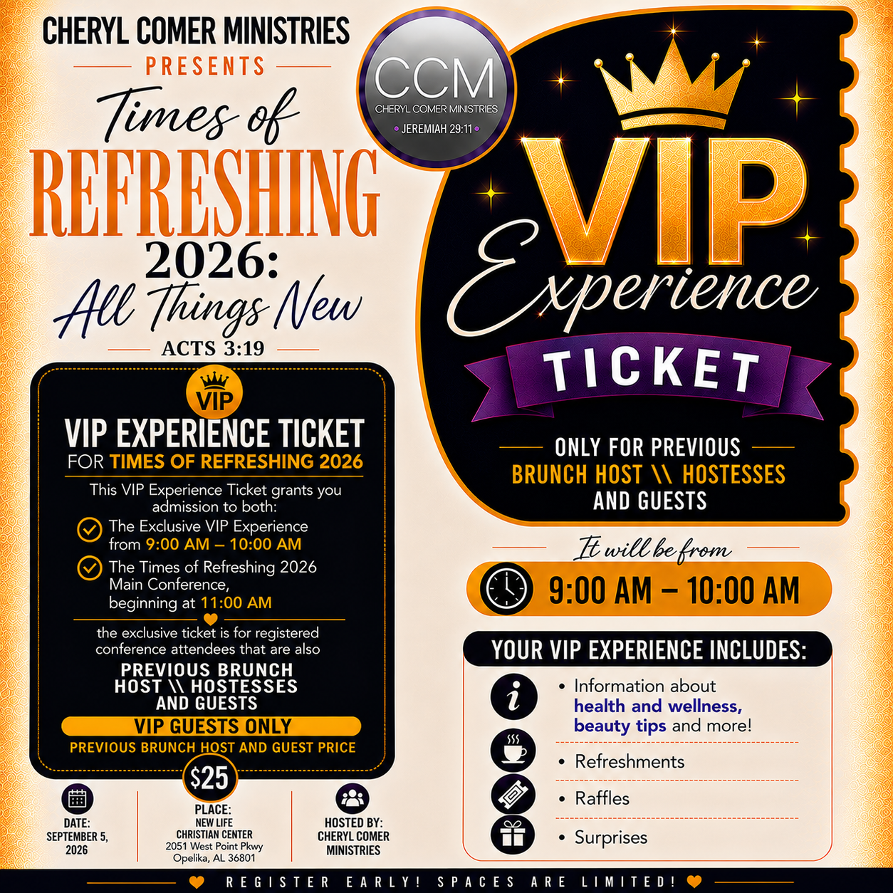 VIP Experience Ticket.png