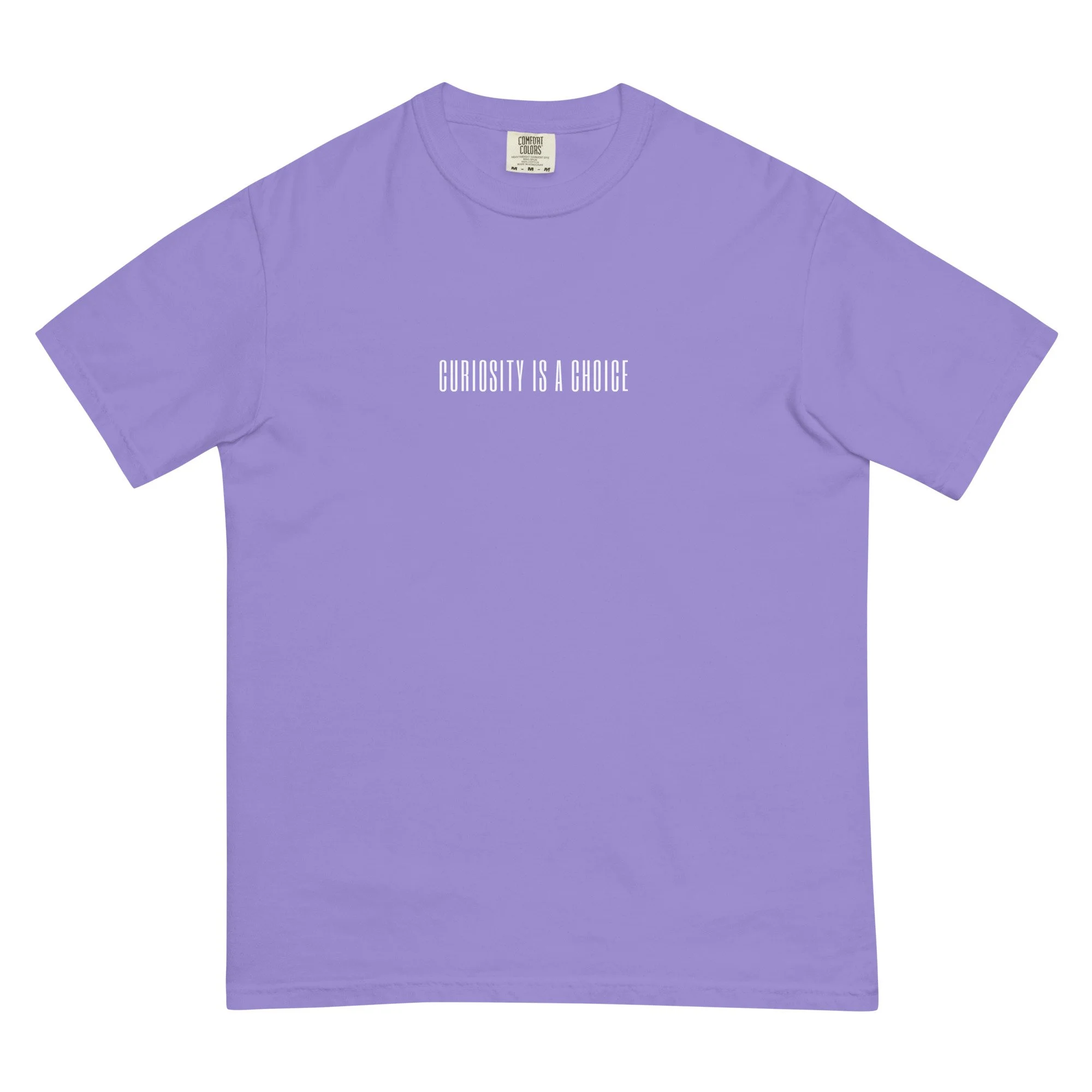 unisex-garment-dyed-heavyweight-t-shirt-violet-front-6961434edad83.jpg