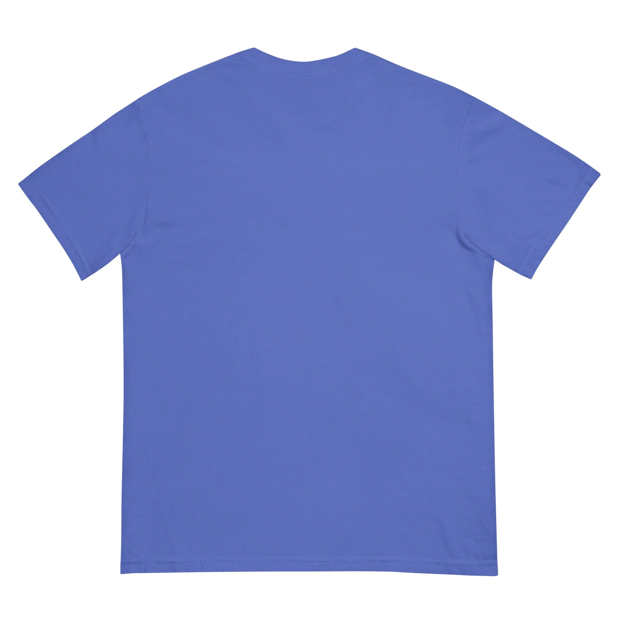 unisex-garment-dyed-heavyweight-t-shirt-flo-blue-back-6961434f7acb4.jpg