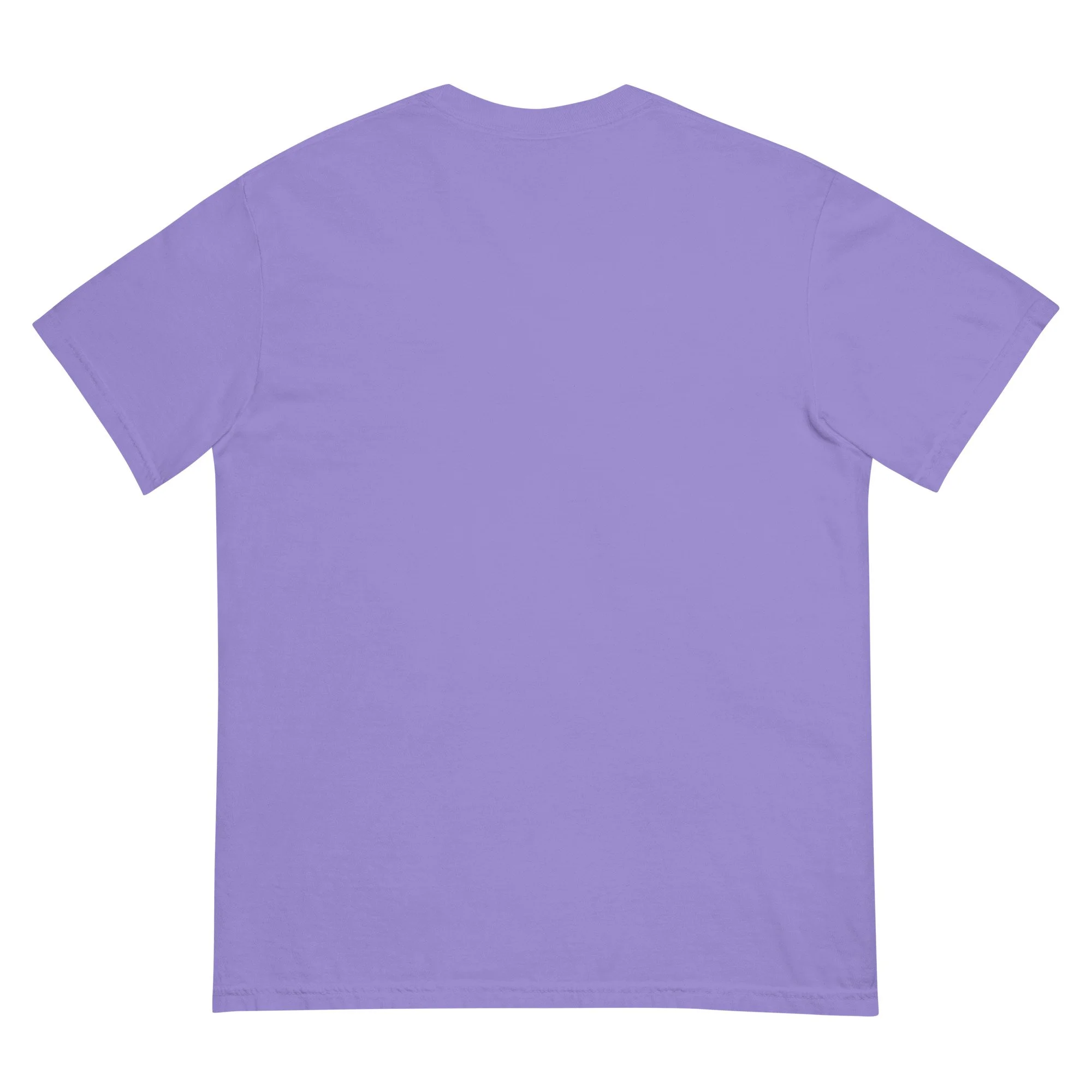 unisex-garment-dyed-heavyweight-t-shirt-violet-back-6961434faabb0.jpg