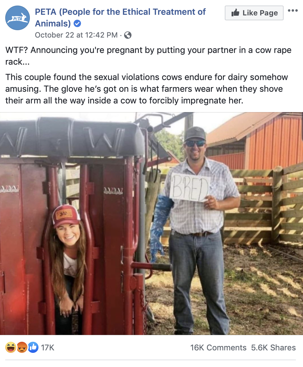 Screen Shot 2019-10-28 at 10.12.13 AM.png