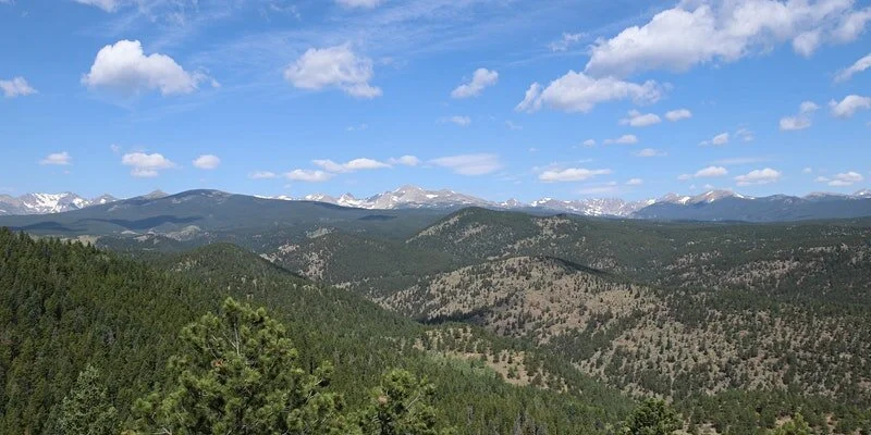 Forest Restoration Field Trip