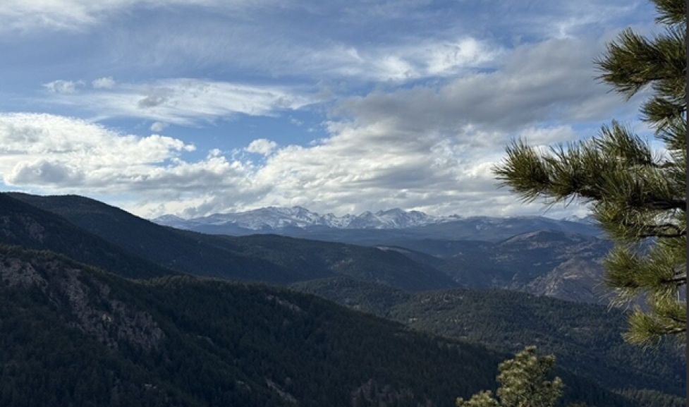 Tram Hill Fuels Reduction Project Community Meeting