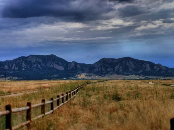 Miner's Field Neighborhood Wildfire Preparedness Gathering