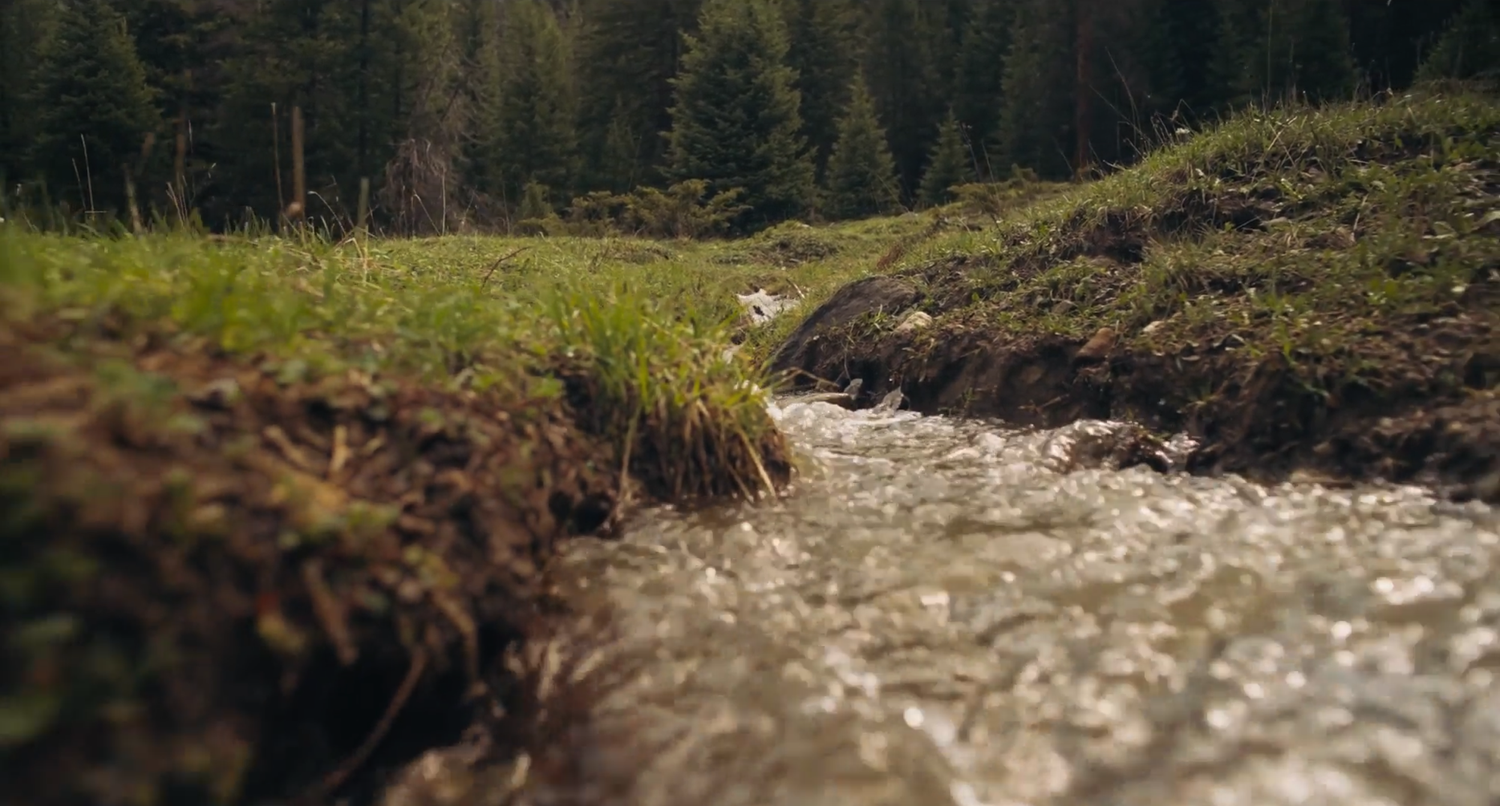 The River Screening + Community Foundations Conversation