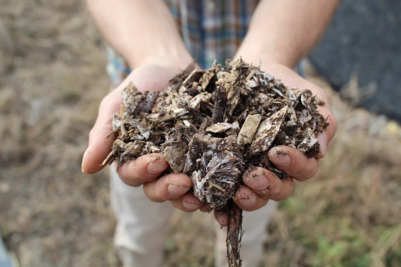 Regenerating Soil with Mushrooms Part 1: Screening Peaks to Prairie: A Holistic Regenerative Approach